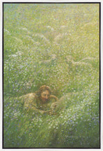 Load image into Gallery viewer, We Are All Wildflowers
