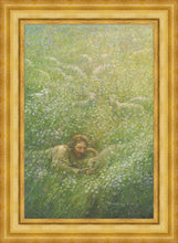 Load image into Gallery viewer, We Are All Wildflowers
