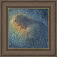 Load image into Gallery viewer, Let Me Hear Your Words
