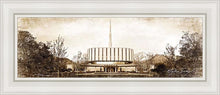 Load image into Gallery viewer, Ogden Vintage
