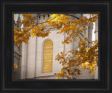 Load image into Gallery viewer, Salt Lake Autumn Leaves
