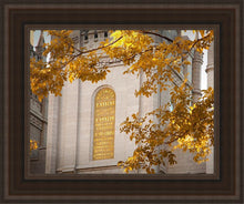 Load image into Gallery viewer, Salt Lake Autumn Leaves
