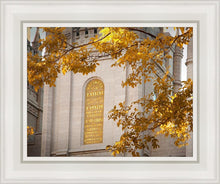 Load image into Gallery viewer, Salt Lake Autumn Leaves
