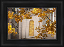 Load image into Gallery viewer, Salt Lake Autumn Leaves
