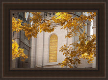 Load image into Gallery viewer, Salt Lake Autumn Leaves

