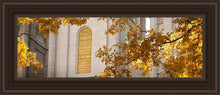 Load image into Gallery viewer, Salt Lake Autumn Leaves
