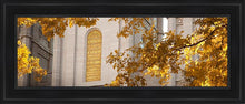 Load image into Gallery viewer, Salt Lake Autumn Leaves
