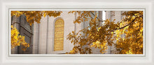 Load image into Gallery viewer, Salt Lake Autumn Leaves
