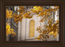 Load image into Gallery viewer, Salt Lake Autumn Leaves
