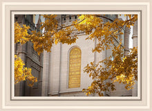 Load image into Gallery viewer, Salt Lake Autumn Leaves
