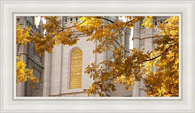 Load image into Gallery viewer, Salt Lake Autumn Leaves
