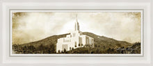 Load image into Gallery viewer, Draper Vintage
