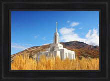 Load image into Gallery viewer, Draper Wheat Field
