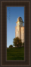 Load image into Gallery viewer, Manti Spire (Vertical)
