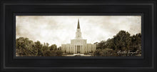 Load image into Gallery viewer, Houston Vintage
