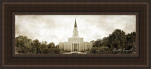 Load image into Gallery viewer, Houston Vintage
