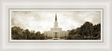 Load image into Gallery viewer, Houston Vintage
