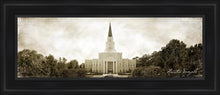 Load image into Gallery viewer, Houston Vintage
