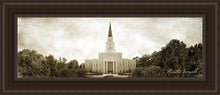 Load image into Gallery viewer, Houston Vintage
