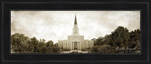 Load image into Gallery viewer, Houston Vintage
