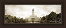 Load image into Gallery viewer, Houston Vintage
