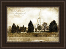 Load image into Gallery viewer, Idaho Falls Vintage
