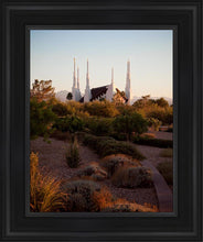 Load image into Gallery viewer, Las Vegas Desert Garden
