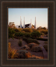 Load image into Gallery viewer, Las Vegas Desert Garden
