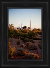 Load image into Gallery viewer, Las Vegas Desert Garden
