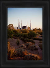 Load image into Gallery viewer, Las Vegas Desert Garden

