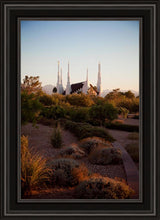 Load image into Gallery viewer, Las Vegas Desert Garden
