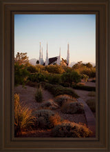 Load image into Gallery viewer, Las Vegas Desert Garden
