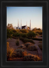 Load image into Gallery viewer, Las Vegas Desert Garden
