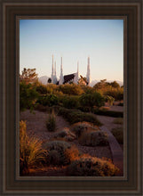 Load image into Gallery viewer, Las Vegas Desert Garden
