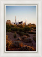 Load image into Gallery viewer, Las Vegas Desert Garden
