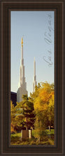 Load image into Gallery viewer, Las Vegas Spire - Color
