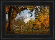Load image into Gallery viewer, Nauvoo Young Street Farm
