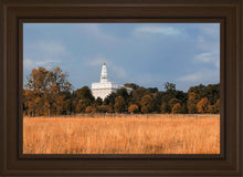 Load image into Gallery viewer, Nauvoo Fields
