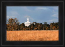 Load image into Gallery viewer, Nauvoo Fields
