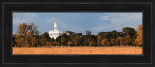 Load image into Gallery viewer, Nauvoo Fields
