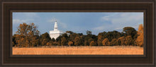 Load image into Gallery viewer, Nauvoo Fields
