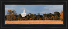 Load image into Gallery viewer, Nauvoo Fields
