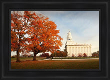 Load image into Gallery viewer, Nauvoo Changing Seasons
