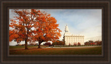 Load image into Gallery viewer, Nauvoo Changing Seasons
