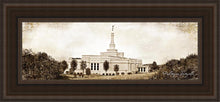 Load image into Gallery viewer, Palmyra Vintage
