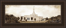 Load image into Gallery viewer, Palmyra Vintage
