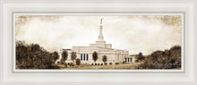Load image into Gallery viewer, Palmyra Vintage
