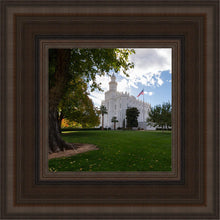 Load image into Gallery viewer, Saint George Fall Leaves
