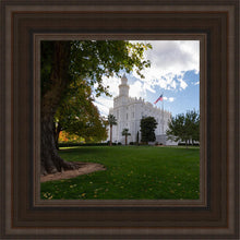 Load image into Gallery viewer, Saint George Fall Leaves
