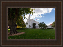 Load image into Gallery viewer, Saint George Fall Leaves

